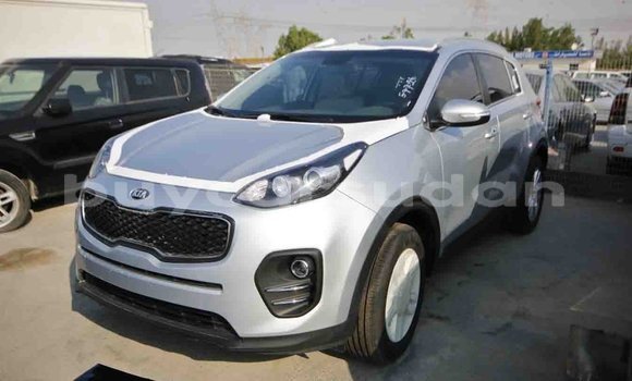 Buy Import Kia Sportage Other Car in Import - Dubai in Al Jazirah State Buy Import Kia Sportage Other Car in Import - Dubai in Al Jazirah State