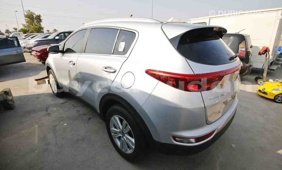 Buy Import Kia Sportage Other Car in Import - Dubai in Al Jazirah State Buy Import Kia Sportage Other Car in Import - Dubai in Al Jazirah State