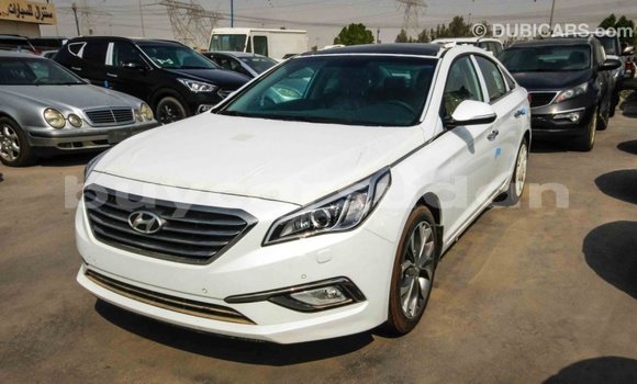 Buy Import Hyundai Sonata White Car in Import - Dubai in Al Jazirah State Buy Import Hyundai Sonata White Car in Import - Dubai in Al Jazirah State