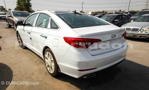 Buy Import Hyundai Sonata White Car in Import - Dubai in Al Jazirah State Buy Import Hyundai Sonata White Car in Import - Dubai in Al Jazirah State