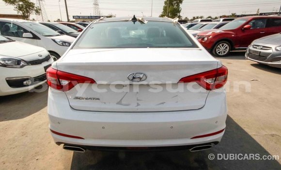 Buy Import Hyundai Sonata White Car in Import - Dubai in Al Jazirah State Buy Import Hyundai Sonata White Car in Import - Dubai in Al Jazirah State