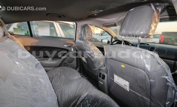 Buy Import Kia Cerato White Car in Import - Dubai in Al Jazirah State Buy Import Kia Cerato White Car in Import - Dubai in Al Jazirah State