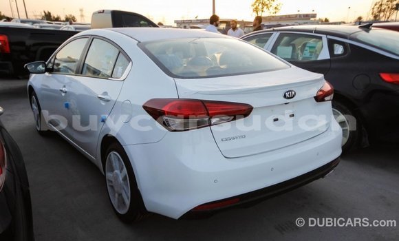 Buy Import Kia Cerato White Car in Import - Dubai in Al Jazirah State Buy Import Kia Cerato White Car in Import - Dubai in Al Jazirah State