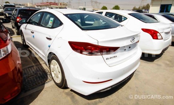 Buy Import Hyundai Elantra White Car in Import - Dubai in Al Jazirah State Buy Import Hyundai Elantra White Car in Import - Dubai in Al Jazirah State