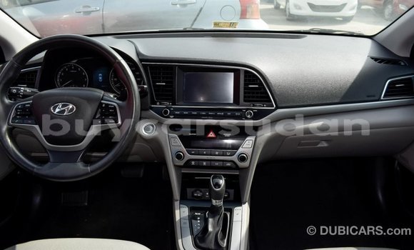 Buy Import Hyundai Elantra Other Car in Import - Dubai in Al Jazirah State Buy Import Hyundai Elantra Other Car in Import - Dubai in Al Jazirah State
