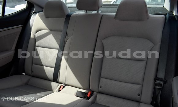 Buy Import Hyundai Elantra Other Car in Import - Dubai in Al Jazirah State Buy Import Hyundai Elantra Other Car in Import - Dubai in Al Jazirah State