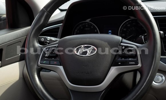 Buy Import Hyundai Elantra Other Car in Import - Dubai in Al Jazirah State Buy Import Hyundai Elantra Other Car in Import - Dubai in Al Jazirah State