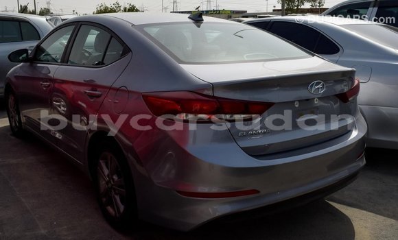 Buy Import Hyundai Elantra Other Car in Import - Dubai in Al Jazirah State Buy Import Hyundai Elantra Other Car in Import - Dubai in Al Jazirah State