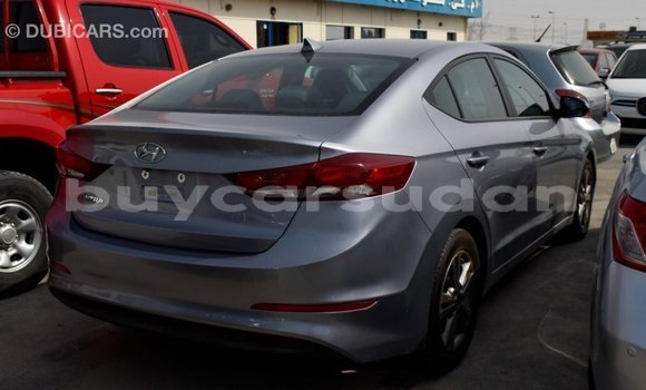Buy Import Hyundai Elantra Other Car in Import - Dubai in Al Jazirah State Buy Import Hyundai Elantra Other Car in Import - Dubai in Al Jazirah State