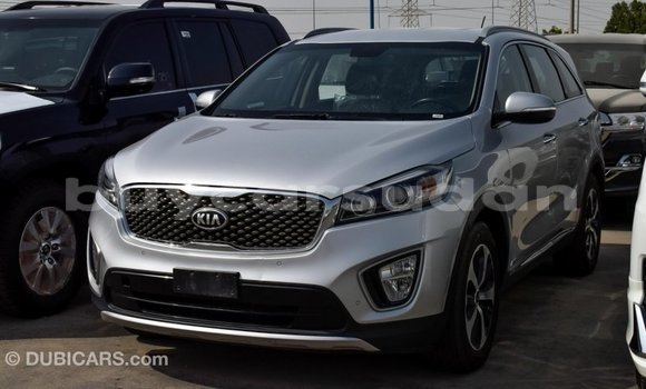 Buy Import Kia Sorento Other Car in Import - Dubai in Al Jazirah State Buy Import Kia Sorento Other Car in Import - Dubai in Al Jazirah State