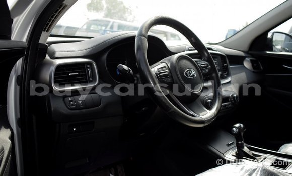 Buy Import Kia Sorento Other Car in Import - Dubai in Al Jazirah State Buy Import Kia Sorento Other Car in Import - Dubai in Al Jazirah State