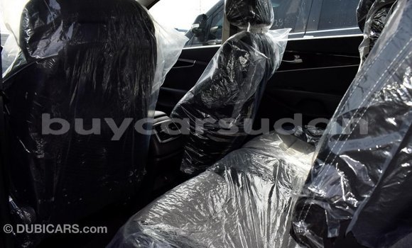 Buy Import Kia Sorento Other Car in Import - Dubai in Al Jazirah State Buy Import Kia Sorento Other Car in Import - Dubai in Al Jazirah State