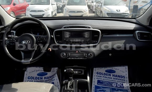 Buy Import Kia Sorento Other Car in Import - Dubai in Al Jazirah State Buy Import Kia Sorento Other Car in Import - Dubai in Al Jazirah State