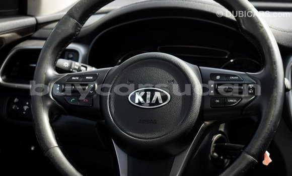 Buy Import Kia Sorento Other Car in Import - Dubai in Al Jazirah State Buy Import Kia Sorento Other Car in Import - Dubai in Al Jazirah State