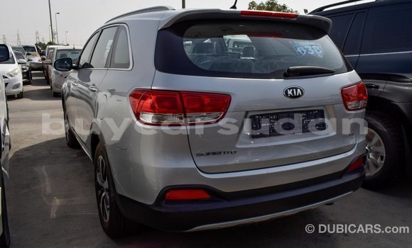 Buy Import Kia Sorento Other Car in Import - Dubai in Al Jazirah State Buy Import Kia Sorento Other Car in Import - Dubai in Al Jazirah State