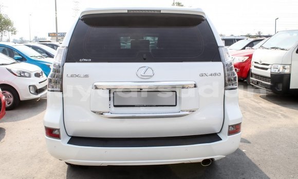 Acheter Import Voiture Lexus GX Blanc à Import - Dubai, État d'Al Jazirah Acheter Import Voiture Lexus GX Blanc à Import - Dubai, État d'Al Jazirah