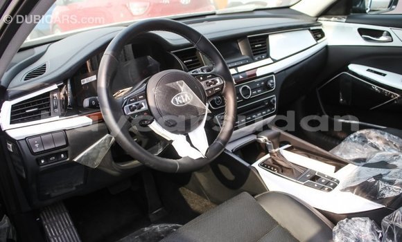 Buy Import Kia Cadenza Other Car in Import - Dubai in Al Jazirah State Buy Import Kia Cadenza Other Car in Import - Dubai in Al Jazirah State