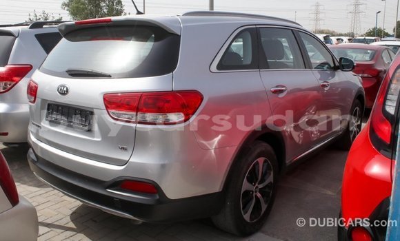 Buy Import Kia Sorento Other Car in Import - Dubai in Al Jazirah State Buy Import Kia Sorento Other Car in Import - Dubai in Al Jazirah State