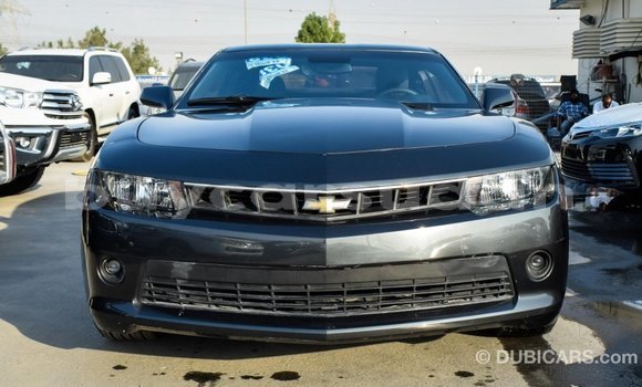 Buy Import Chevrolet Camaro Other Car in Import - Dubai in Al Jazirah State Buy Import Chevrolet Camaro Other Car in Import - Dubai in Al Jazirah State