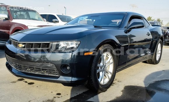 Buy Import Chevrolet Camaro Other Car in Import - Dubai in Al Jazirah State Buy Import Chevrolet Camaro Other Car in Import - Dubai in Al Jazirah State