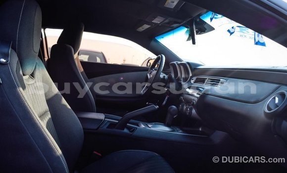 Buy Import Chevrolet Camaro Other Car in Import - Dubai in Al Jazirah State Buy Import Chevrolet Camaro Other Car in Import - Dubai in Al Jazirah State