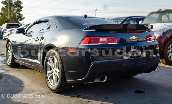 Buy Import Chevrolet Camaro Other Car in Import - Dubai in Al Jazirah State Buy Import Chevrolet Camaro Other Car in Import - Dubai in Al Jazirah State