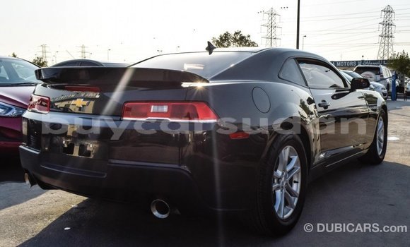 Buy Import Chevrolet Camaro Other Car in Import - Dubai in Al Jazirah State Buy Import Chevrolet Camaro Other Car in Import - Dubai in Al Jazirah State