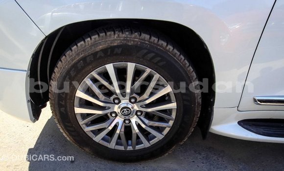 Buy Import Toyota Land Cruiser White Car in Import - Dubai in Al Jazirah State Buy Import Toyota Land Cruiser White Car in Import - Dubai in Al Jazirah State