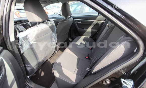 Buy Import Toyota Corolla Black Car in Import - Dubai in Al Jazirah State Buy Import Toyota Corolla Black Car in Import - Dubai in Al Jazirah State