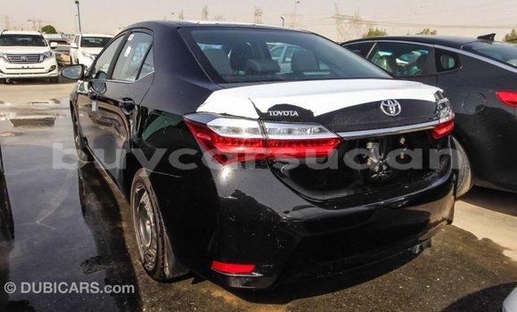 Buy Import Toyota Corolla Black Car in Import - Dubai in Al Jazirah State Buy Import Toyota Corolla Black Car in Import - Dubai in Al Jazirah State