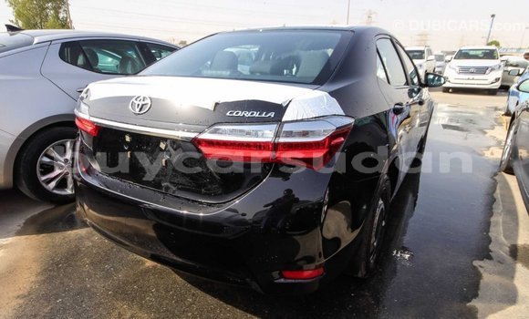 Buy Import Toyota Corolla Black Car in Import - Dubai in Al Jazirah State Buy Import Toyota Corolla Black Car in Import - Dubai in Al Jazirah State