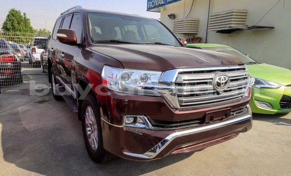 Buy Import Toyota Land Cruiser Brown Car in Import - Dubai in Al Jazirah State Buy Import Toyota Land Cruiser Brown Car in Import - Dubai in Al Jazirah State