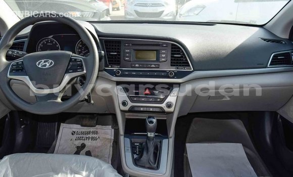 Buy Import Hyundai Elantra Blue Car in Import - Dubai in Al Jazirah State Buy Import Hyundai Elantra Blue Car in Import - Dubai in Al Jazirah State