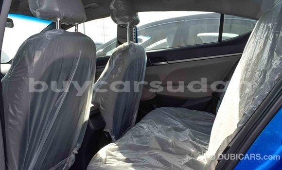 Buy Import Hyundai Elantra Blue Car in Import - Dubai in Al Jazirah State Buy Import Hyundai Elantra Blue Car in Import - Dubai in Al Jazirah State