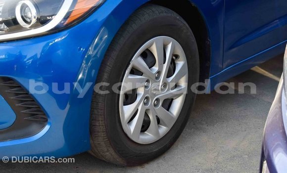Buy Import Hyundai Elantra Blue Car in Import - Dubai in Al Jazirah State Buy Import Hyundai Elantra Blue Car in Import - Dubai in Al Jazirah State
