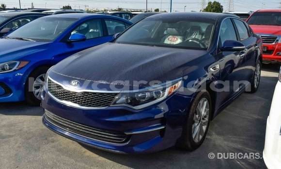 Buy Import Kia Optima Blue Car in Import - Dubai in Al Jazirah State Buy Import Kia Optima Blue Car in Import - Dubai in Al Jazirah State
