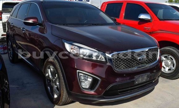 Buy Import Kia Sorento Brown Car in Import - Dubai in Al Jazirah State Buy Import Kia Sorento Brown Car in Import - Dubai in Al Jazirah State