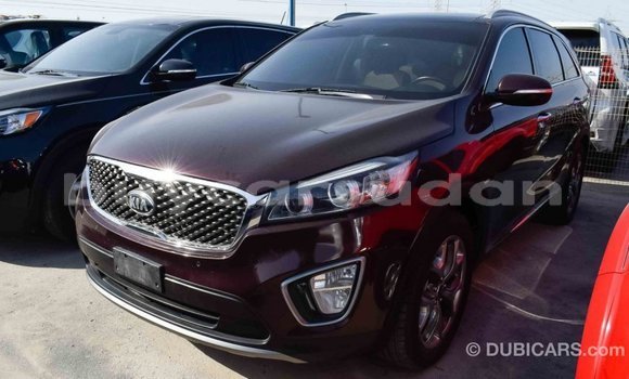 Buy Import Kia Sorento Brown Car in Import - Dubai in Al Jazirah State Buy Import Kia Sorento Brown Car in Import - Dubai in Al Jazirah State