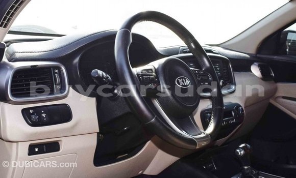 Buy Import Kia Sorento Brown Car in Import - Dubai in Al Jazirah State Buy Import Kia Sorento Brown Car in Import - Dubai in Al Jazirah State