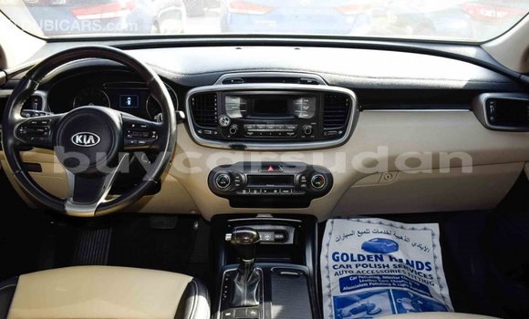 Buy Import Kia Sorento Brown Car in Import - Dubai in Al Jazirah State Buy Import Kia Sorento Brown Car in Import - Dubai in Al Jazirah State
