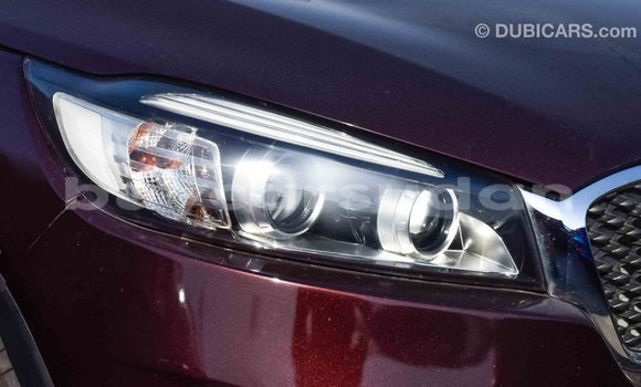 Buy Import Kia Sorento Brown Car in Import - Dubai in Al Jazirah State Buy Import Kia Sorento Brown Car in Import - Dubai in Al Jazirah State