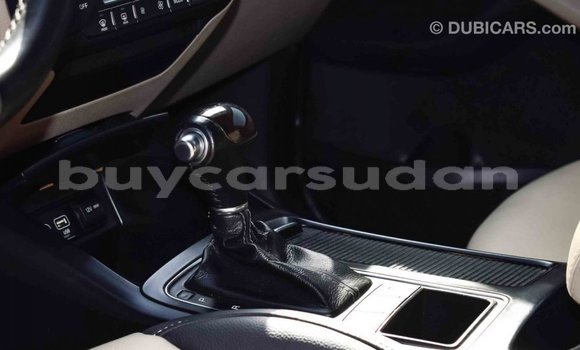 Buy Import Kia Sorento Brown Car in Import - Dubai in Al Jazirah State Buy Import Kia Sorento Brown Car in Import - Dubai in Al Jazirah State