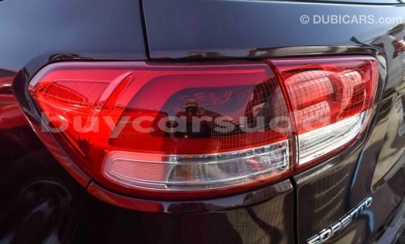 Buy Import Kia Sorento Brown Car in Import - Dubai in Al Jazirah State Buy Import Kia Sorento Brown Car in Import - Dubai in Al Jazirah State