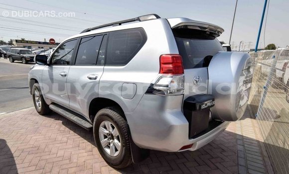 Buy Import Toyota Prado Other Car in Import - Dubai in Al Jazirah State Buy Import Toyota Prado Other Car in Import - Dubai in Al Jazirah State