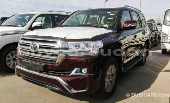 Buy Import Toyota Land Cruiser Other Car in Import - Dubai in Al Jazirah State Buy Import Toyota Land Cruiser Other Car in Import - Dubai in Al Jazirah State
