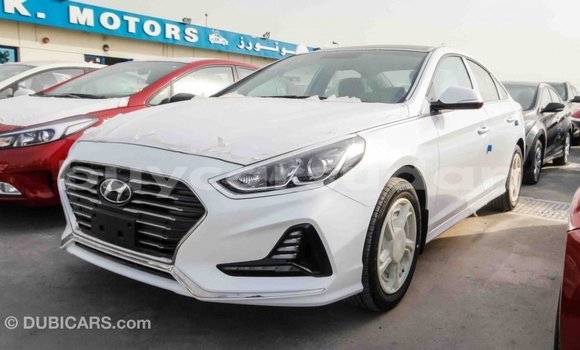Buy Import Hyundai Sonata White Car in Import - Dubai in Al Jazirah State Buy Import Hyundai Sonata White Car in Import - Dubai in Al Jazirah State