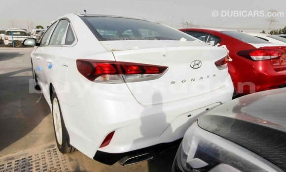 Buy Import Hyundai Sonata White Car in Import - Dubai in Al Jazirah State Buy Import Hyundai Sonata White Car in Import - Dubai in Al Jazirah State