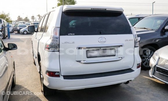 Buy Import Lexus GX White Car in Import - Dubai in Al Jazirah State Buy Import Lexus GX White Car in Import - Dubai in Al Jazirah State