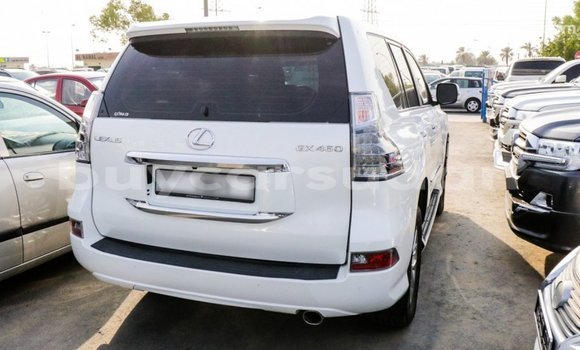 Buy Import Lexus GX White Car in Import - Dubai in Al Jazirah State Buy Import Lexus GX White Car in Import - Dubai in Al Jazirah State