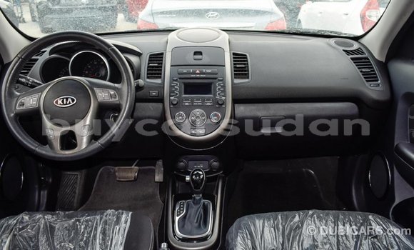 Buy Import Kia Soul Black Car in Import - Dubai in Al Jazirah State Buy Import Kia Soul Black Car in Import - Dubai in Al Jazirah State